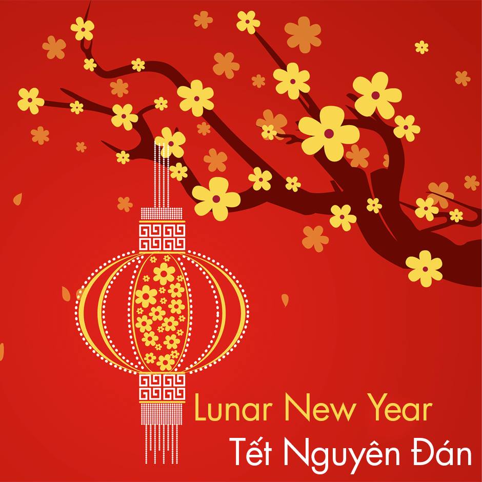 happy new year in vietnamese